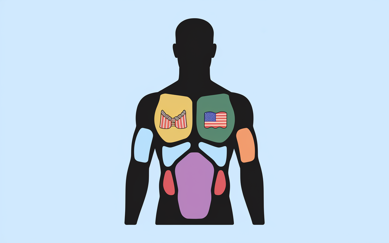 musculation haut du corps schema muscles