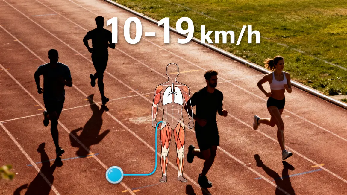 infographie VMA chiffres coureurs piste oxygène