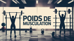 poid de muscu silhouettes avec haltères et barres